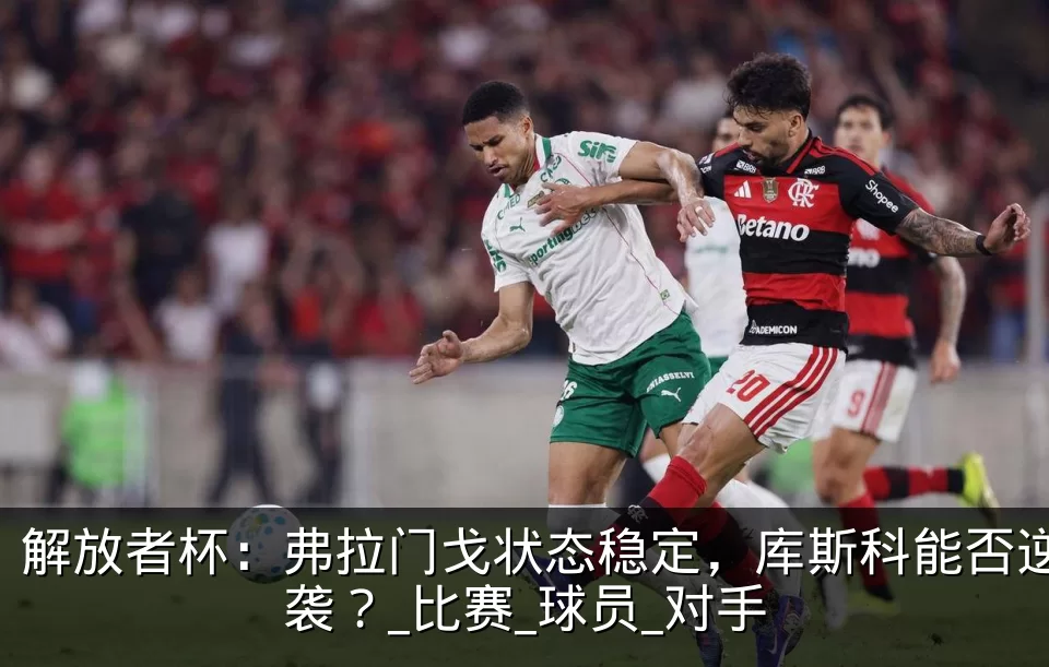 解放者杯:弗拉门戈状态稳定,库斯科能否逆袭?_比赛_球员_对手